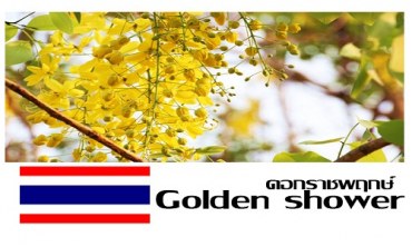 Quốc hoa của Thái Lan